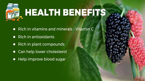 kjech vs mulberry|Mulberries: What Are The Different Health Benefits Of This Fruit.